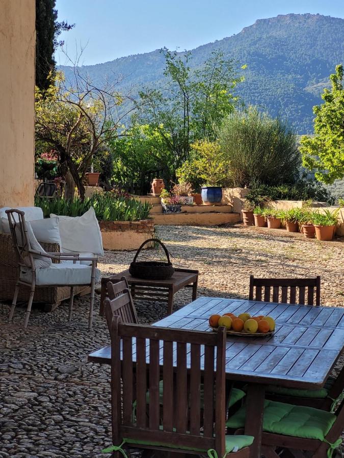Cortijo El Pino Retreat Bed & Breakfast Albunuelas Exterior photo